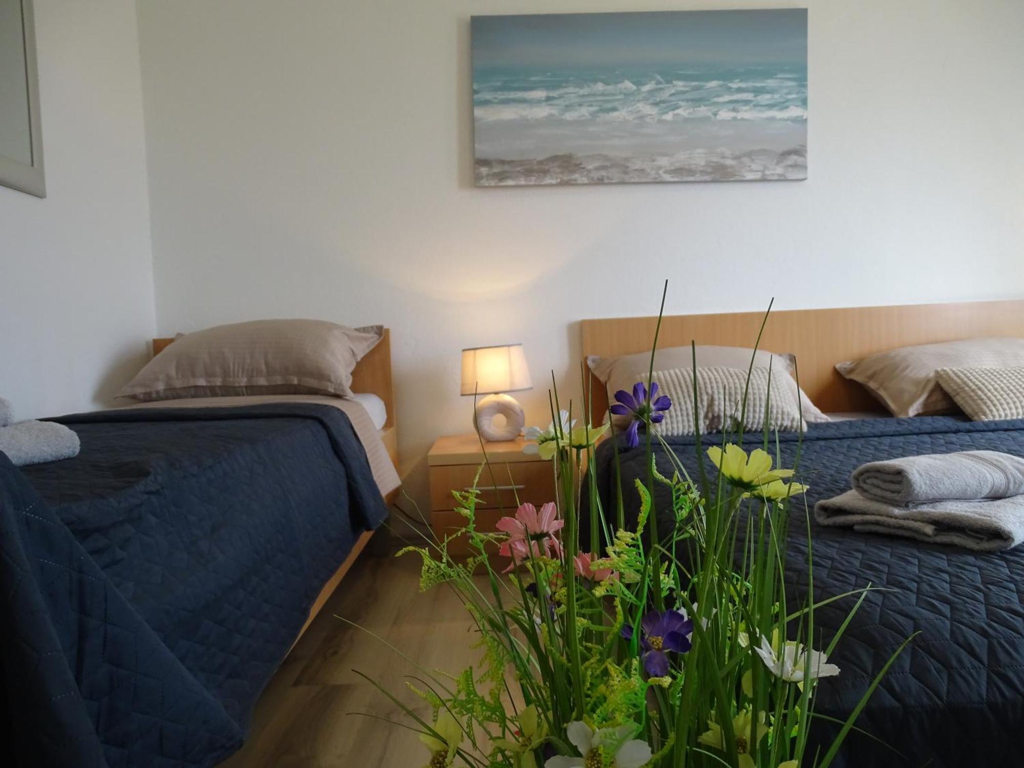 Apartments Sime Dinjiska Екстер'єр фото